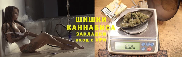 прущая мука Вяземский