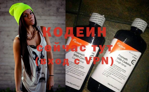 индика Сосновка