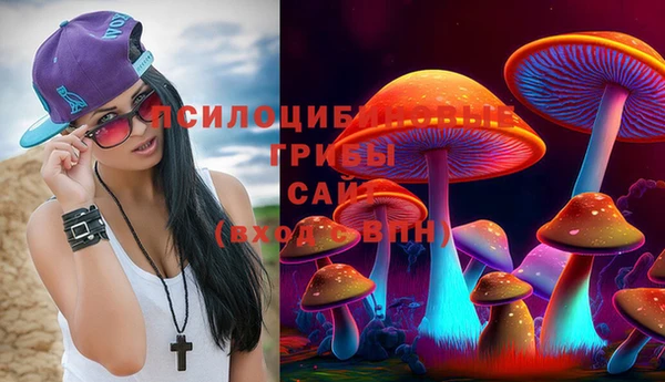 мяу мяу мука Вязьма