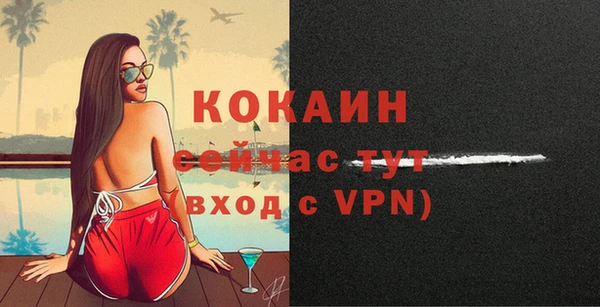 PSILOCYBIN Вязники