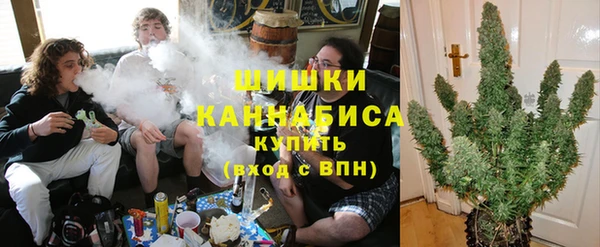 мяу мяу мука Вязьма