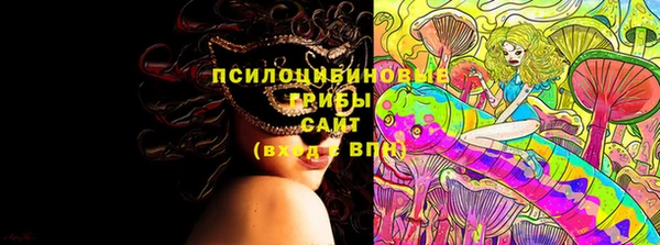 spice Сосновый Бор