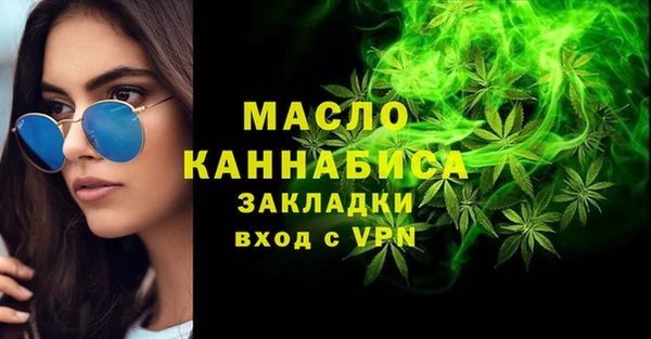 индика Сосновка