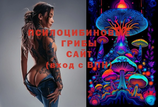 PSILOCYBIN Вязники