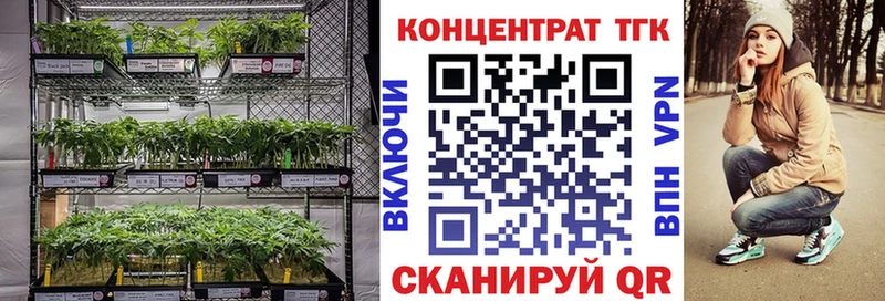 Дистиллят ТГК THC oil  Пересвет 